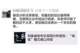 东兴区为什么选择专业追讨公司来处理您的债务纠纷？